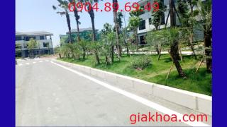 BÓ VỈA LÀ GÌ? LỰA CHỌN BÓ VỈA NHƯ THẾ NÀO.